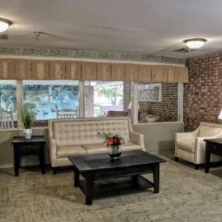 A cozy living room with sofas, a coffee table, and decorative elements.