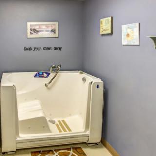 A bathroom featuring an accessible walk-in bathtub with safety rails and decorative wall art.