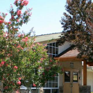 A building entrance surrounded by flowering trees and lush foliage.