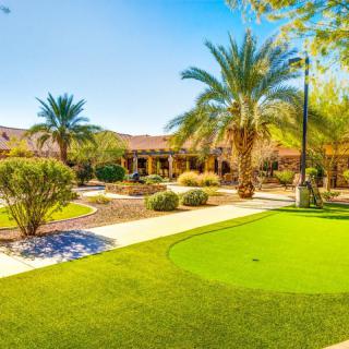 A beautifully landscaped garden featuring palm trees, a green lawn, and a pathway on a sunny day.