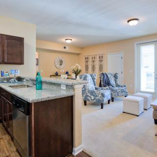 A modern open-concept living space featuring a cozy kitchen and stylishly furnished living room.