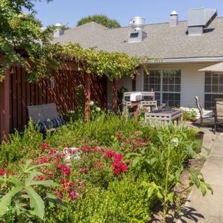 A cozy backyard garden with vibrant flowers, lush plants, and a patio area for relaxation.
