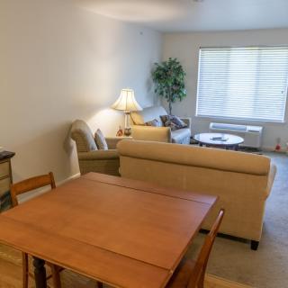 A cozy living room with a couch, table, and lamp under natural light.