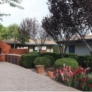 A serene garden space featuring a pathway lined with potted plants, bushes, and trees.