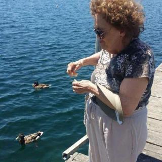 A woman standing on a dock feeding ducks in the water on a sunny day.