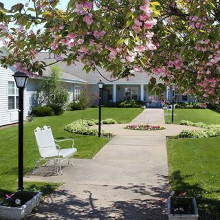 A serene garden with a pathway leading to a building, adorned with blooming trees and street lamps.
