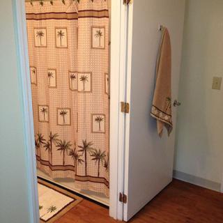 A bathroom with a palm tree patterned shower curtain and a towel hanging on the door.