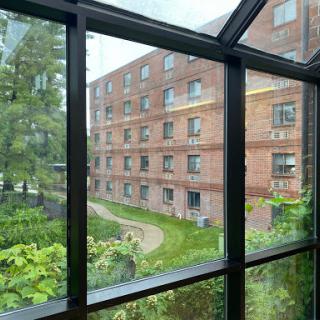 A view through a glass window showcasing a brick building and lush greenery.