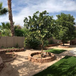 A serene garden featuring a variety of trees and well-designed pathways.