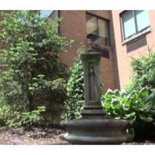 A statue bust in a garden surrounded by greenery.