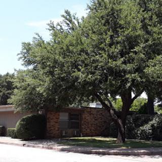 A serene residential scene featuring a house shaded by a large tree.