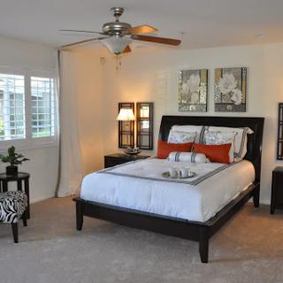 A stylish and modern bedroom featuring a comfortable bed, contemporary decor, and subtle lighting.