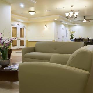A modern lobby with sofas and decorative plants.