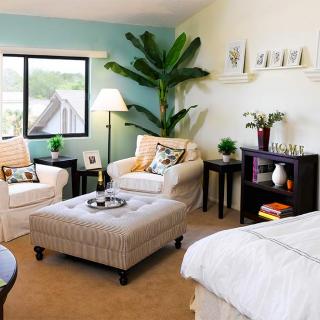 A cozy and well-decorated living room featuring comfortable armchairs, a large ottoman, a tall plant, and soft lighting.