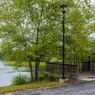 A serene pathway by a lake, featuring trees and a bridge under a lamp post in a park.