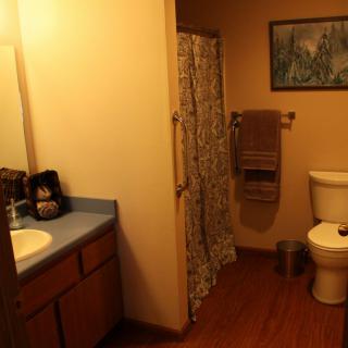 A bathroom featuring a sink with mirror, a shower with a patterned curtain, and a toilet.