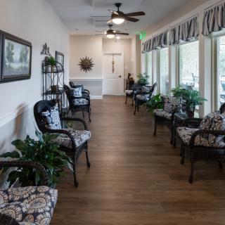 A well-decorated waiting room with rows of chairs and potted plants against large windows.