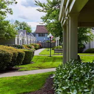 A peaceful residential garden with a well-maintained pathway and lush greenery.
