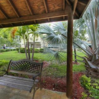 A serene garden scene with a bench under a wooden patio, surrounded by lush tropical plants.