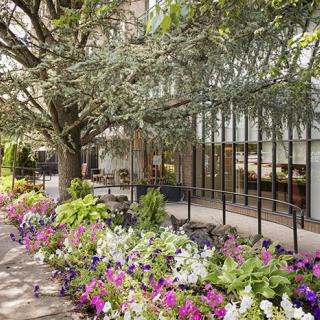 A beautifully landscaped garden path with vibrant flowers and lush greenery.