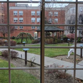 View of a peaceful garden and gazebo from a window.