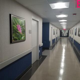A well-lit hospital hallway adorned with floral artwork.