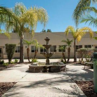 A sunny courtyard featuring a central fountain surrounded by palm trees and a building exterior.