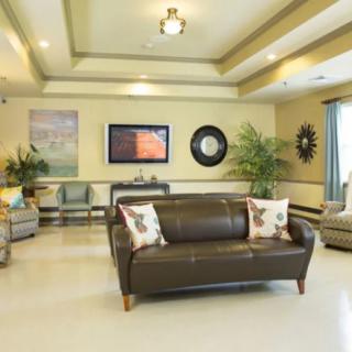 A modern living room with a central leather sofa, decorative pillows, wall art, and indoor plants.