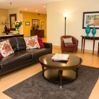A modern living room with a cozy sofa, armchair, and a central coffee table adorned with decorative items.