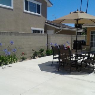 A sunny backyard patio with a table, chairs, and an umbrella.