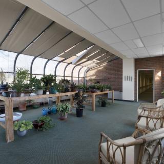 A brightly lit indoor space with a variety of potted plants and comfortable seating, creating a greenhouse-like atmosphere.