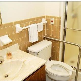 Accessible bathroom with handrails, a toilet, and a shower.