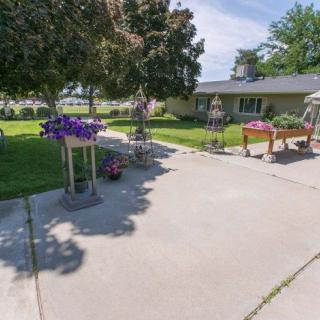 A sunny outdoor patio area with various flowers and plants near a house.