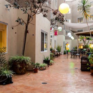 A cozy indoor courtyard with plants, seating, and decorative lights.