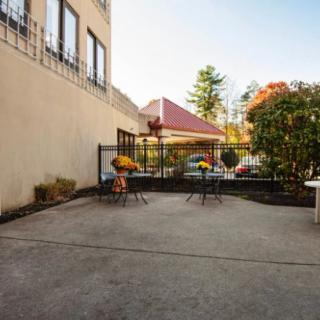 An outdoor patio area with tables, chairs, and a large umbrella, surrounded by potted plants next to a building.
