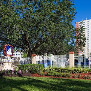 A scenic park area with a large tree, landscaped garden, and a background of urban buildings.