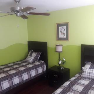 A bedroom with two twin beds, green walls, and a ceiling fan.