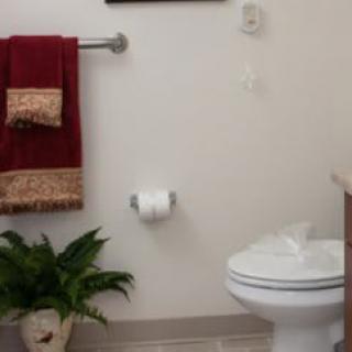 A neatly decorated bathroom with a toilet, red towel, and potted plant.