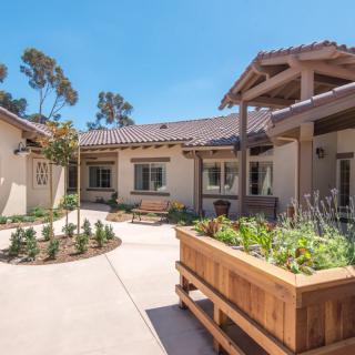 A sunny courtyard with a garden and residential architecture.