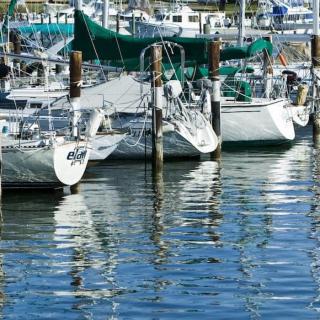 Sailboats docked at a marina with reflections on the water.