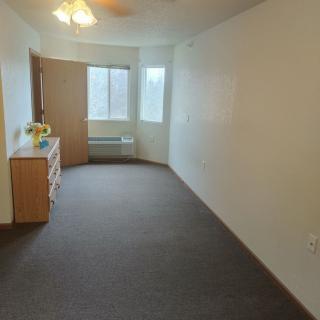 An empty room in an apartment featuring a window, dresser, and carpeting.