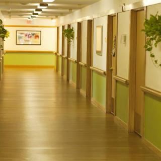 A long, well-lit corridor with wooden flooring and green accents on the walls, decorated with hanging plants.