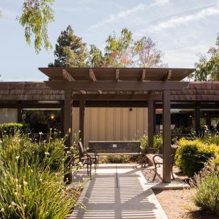 A peaceful outdoor garden with a pergola and pathway surrounded by greenery.