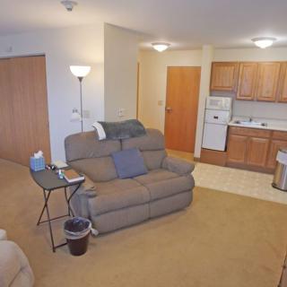 Cozy apartment living area with a sofa and open kitchen space.