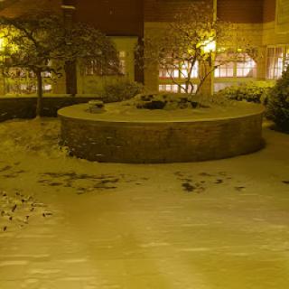 A serene, snow-covered park at night, illuminated by soft streetlights.