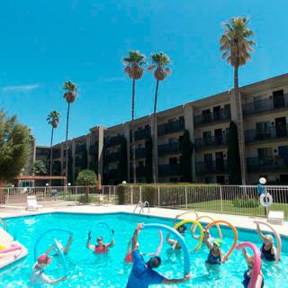 People enjoying a sunny day at an outdoor hotel swimming pool surrounded by palm trees.