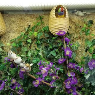 A vibrant display of purple flowers surrounded by green foliage and decorative baskets.