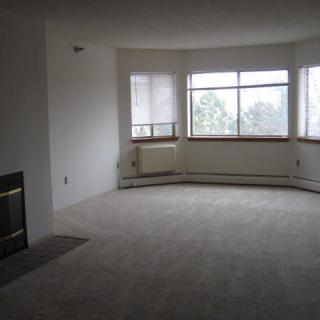 An empty living room with large windows, carpeted floors, and a fireplace.