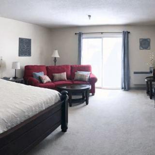 A spacious bedroom with a large bed, comfortable sofa, and coffee table, featuring ample natural light from the sliding glass door.