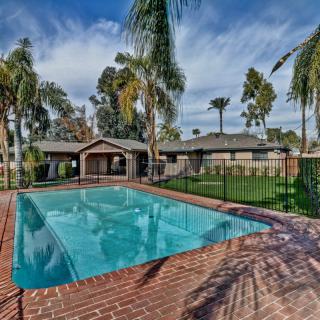 A backyard oasis featuring a swimming pool surrounded by palm trees and a brick patio.
